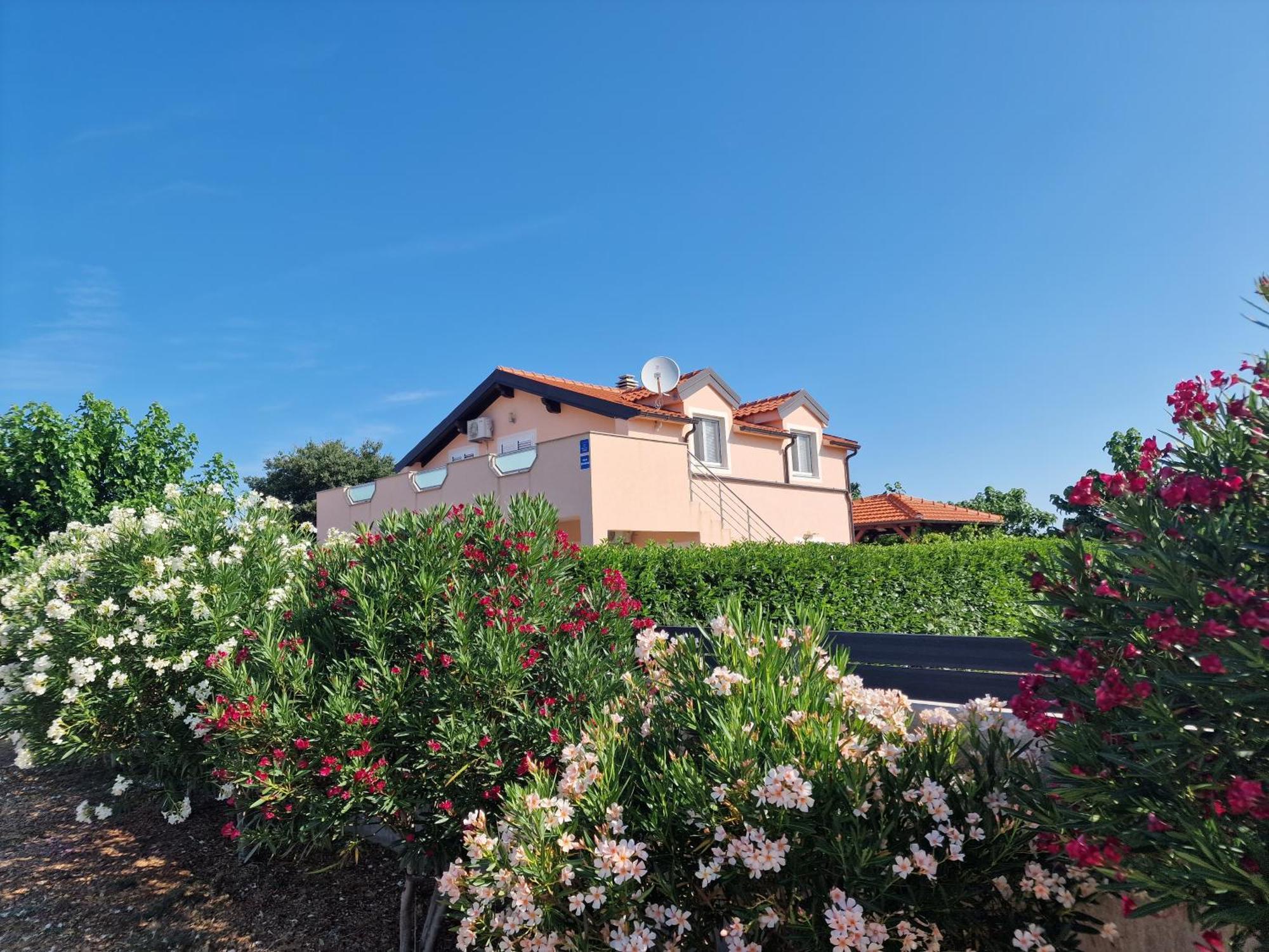 Villa Verbena Mala Cista Exteriör bild